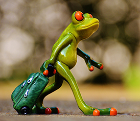 frog welcome travel luggage